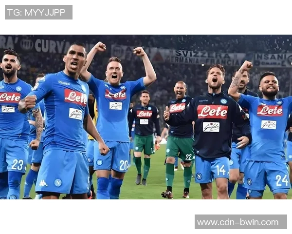 深入解析意甲球队与球员的全景图鉴与战术分析