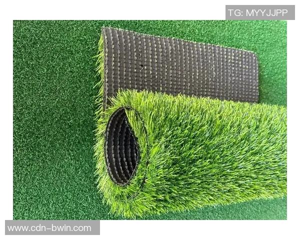 足球场护栏价格分析与选择指南助您找到最优性价比方案